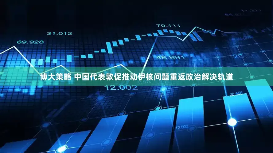 博大策略 中国代表敦促推动伊核问题重返政治解决轨道