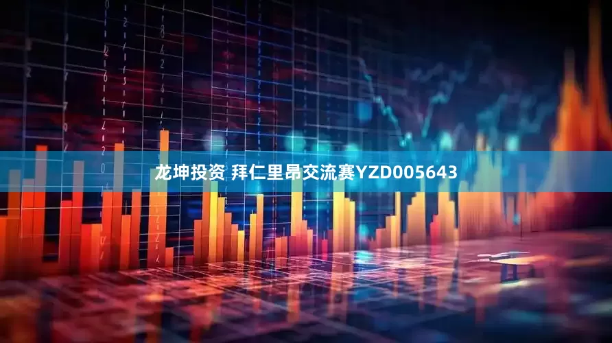 龙坤投资 拜仁里昂交流赛YZD005643