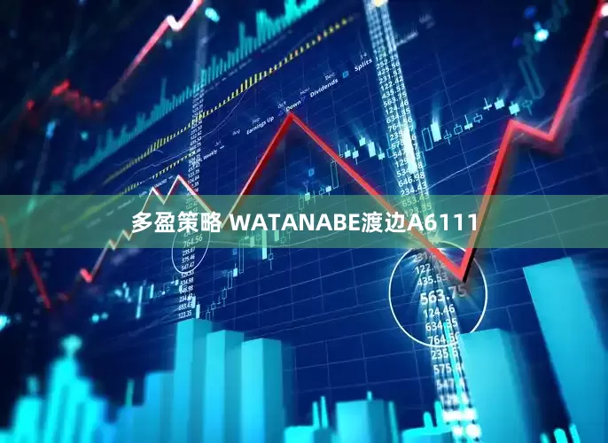多盈策略 WATANABE渡边A6111